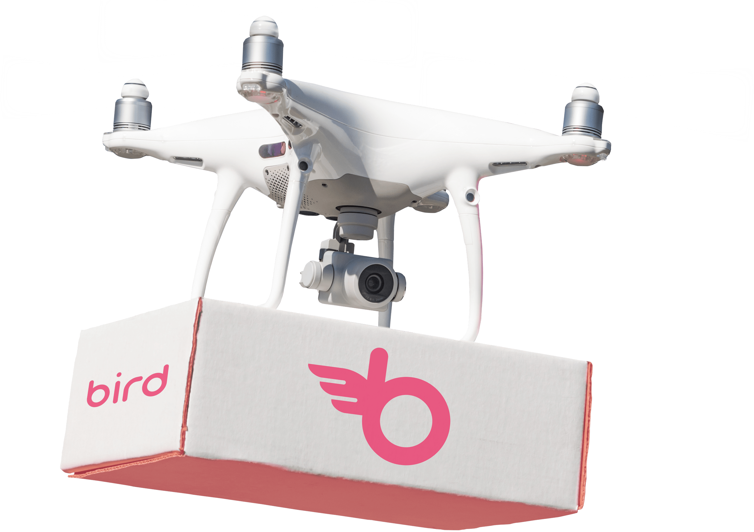 Bird drone delivering a Bird food package.